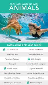 Pin On Jobs For Animal Lovers