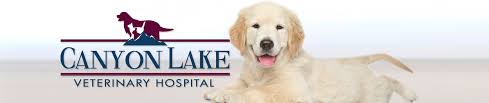 The animal hospital's services include wellness and routine examinations, diagnostic testing and. Vet Clinic Rapid City Sd Canyon Lake Veterinary Hospital