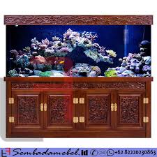 Pin Di Aquarium