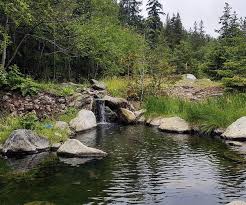 Maybe you would like to learn more about one of these? Meager Creek Hot Springs Ultimate Hot Springs Guide