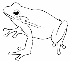Adult animals big frog coloring pages printable. Print Download Frog Coloring Pages Theme For Kids