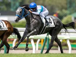 Maybe you would like to learn more about one of these? å½é¤¨2æ­³så±æ 2æ­³ä¸ä»£æåã®jraéè³ æ³¨ç®ã¯ãã®é¦¬ Netkeiba Com Yahoo ãã¥ã¼ã¹