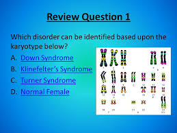 In the human karyotypinggizmo, you will make karyotypes. Objective Identify And Differentiate Between Karyotypes Iot Diagnose Chromosomal Disorders Drill 1 Horses Have 64 Chromosomes In Each Body Cell If Ppt Download