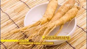 Beli obat melancarkan peredaran darah online berkualitas dengan harga murah terbaru 2021 di tokopedia! Dimanfaatkan Sejak Ribuan Tahun Ternyata Inilah Khasiat Manfaat Ginseng Youtube