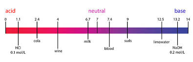 Why Is The Ph Scale Logarithmic