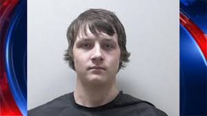 Georgia man arrested after puppy freezes to death, police say