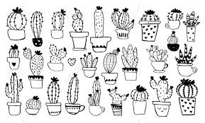 Reproduction is essential to the. A Collection Of Different Types Of Cacti In Pots Line Sketch Royalty Free Cliparts Vectors And Stock Illustration Image 132583574