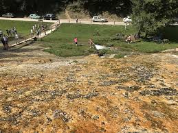 Vama buzăului, o comună aflată la 45 de kilometri de braşov, ascunde comori nebănuite. La Cascada Urlatoarea Si Rezervatia De Zimbrii Din Vama Buzaului Tara Dacilor