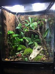 Vivarium Bioactive Vivarium Reptile Terrarium Vivarium