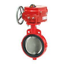 Bray Resilient Seated Butterfly Valve Series 20 21 Wafer