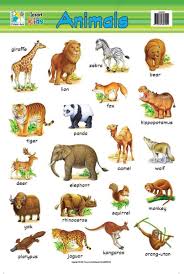 38 Printable Animal Charts In 2020 Learning English For Kids English Lessons For Kids Teach English To Kids