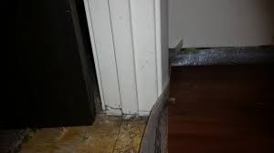 Begin cutting the door jamb and slowly working your blade around the entire area you want to cut. Installing Laminate Having Trouble With Metal Door Frames Diy