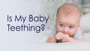 Tracey Stone Is My Baby Teething Ashton Parsons