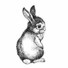 Pin By Meredith Barr On Easter Bunny Art Rabbit Art Vintage Easter