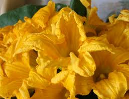 Paris, vegas, london, chicago, san francisco Fiori Di Zucca In Vaschetta 10 Fiori In Punta Di Forchetta