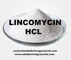 Lincomycin Hcl Atorvastatin Pharmaceutical Skin Infection