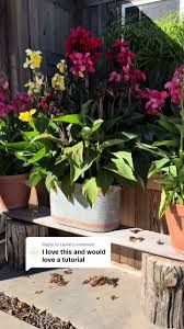 Finding Free Hot Tubs for Your Spring Garden