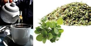 Para Que Sirve El Te De Oregano Buena Salud Oregano Te De Oregano Beneficios Salud