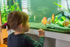 To do that it is advisable to. 5 Steps For Moving A Fish Tank Find Self Storage