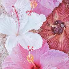 Pin On Flores