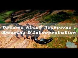 Pin On Dream Interpretation