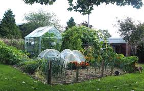 Learn how to make a massif, an alley or a composter. Backyard Vegetable Garden Layout The Old Farmer S Almanac