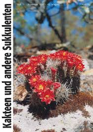 Image result for Tridentea marientalensis