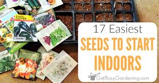 How and when to start seeds. 17 Easiest Seeds To Start Indoors Get Busy Gardening