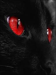 Black And Red Cat Wow Hoe Scary But Beautiful Dark Black Wallpaper Black Cat Red Eyes