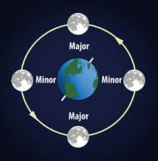 understanding moon phases