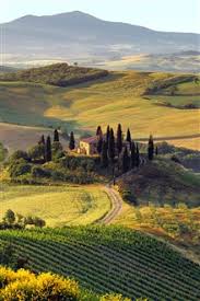 Beautiful road & trees italy. Beautiful Summer Landscape Of Italian Farm Iphone X 8 7 6 5 4 3gs Wallpaper Download Iwall365 Com