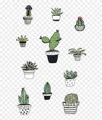Check spelling or type a new query. Cactaceae Cactus And Succulent Plant Others Cactus Drawing Hd Png Download 700x1018 998880 Pngfind