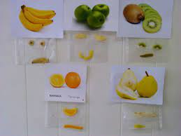 Clasificacion E Identificacion De Alimentos Titere De Fieltro Juegos Escolares Actividades