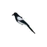 Comme dans l'étape précédente, insister particulièrement dans les en cas d'invasion massive, il peut être judicieux de fabriquer un nouveau poulailler le temps que le premier soit exempt de poux rouges. Repulsif Pie Repulsif Oiseaux Protection De Jardin Vive L Elevage