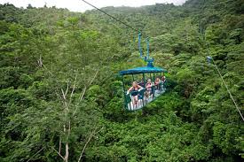 You've heard all about costa rica's amazing wildlife and lush rainforest, and have booked your family's flights to costa rica. Costa Rica S Rainforests And Volcanoes Southern Explorations