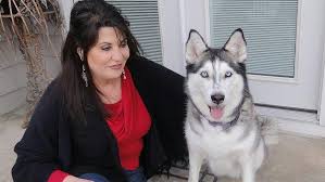 Our new philadelphia location has been serving the tuscarawas county community since july 2019. Doggie Divorce Who Gets The Pet When Couples Split The Pew Charitable Trusts