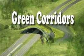 Edg plans an alternate route for cars in manhattan called loop nyc. New Delhi Green Corridor Helps To Transport Heart 20 Km In 12 Mins