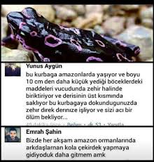 Mizah Komik Mizah Komik Komik Seyler
