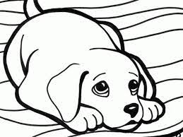 Boy and dog playing snow winter s for kids477d. Free Printable Colouring Pages Of Dogs In 2021 Dog Coloring Page Elephant Coloring Page Valentines Day Coloring Page