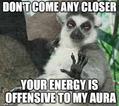 Sunday Funny There Are Just Some Days I Need To Be Left Alone How About You Metaphysical Spiri Funny Animal Photos Funny Animal Pictures Funny Pictures