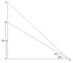 Ncert Solutions For Class 10th Maths Some Applications Of Trigonometry Exercise 9 1