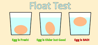 Older eggs make sounds because the protein is no longer completely firm. How To Tell If A Chicken Egg Is Bad Thistle Downs Farm