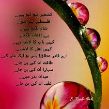 Urdu Poem About Kashmir And Palestine And Their Sufferings My Poetry Poems Poetry