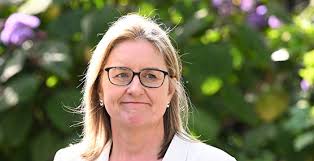 维州迎来史上第二位女州长| 维州州长| 艾伦| 大纪元