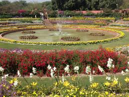How to visit mughal garden rashtrapati bhavan. Udyanotsav 2018 To Be Held In Mughal Gardens Of Rashtrapati Bhavan Feb 6 Onwards Times Of India Travel