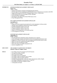 systems management specialist resume