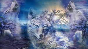 Custom avatars from wolf3d support stylization and face tracking animations. Images About Hipster Wolf Wallpaper On Pinterest Wolves Wolf Wallpaper 3d 1920x1080 Wallpaper Teahub Io