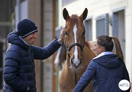 Die amazone ist erfolgreich aus der babypause. Henrik Von Eckermann And Janika Sprunger On Good Times Gratefulness And Gut Feeling Part Three World Of Showjumping