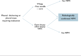 Some have developed mesothelioma or other asbestos illnesses and sued the manufacturers responsible. Pdf Guidelines For The Diagnosis And Treatment Of Malignant Pleural Mesothelioma Semantic Scholar