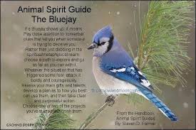 You Are Being Reminded That To Wear The Crown Of True Mastership Requires Dedication Respo Animal Spirit Guides Animal Totem Spirit Guides Animal Spirit Guide